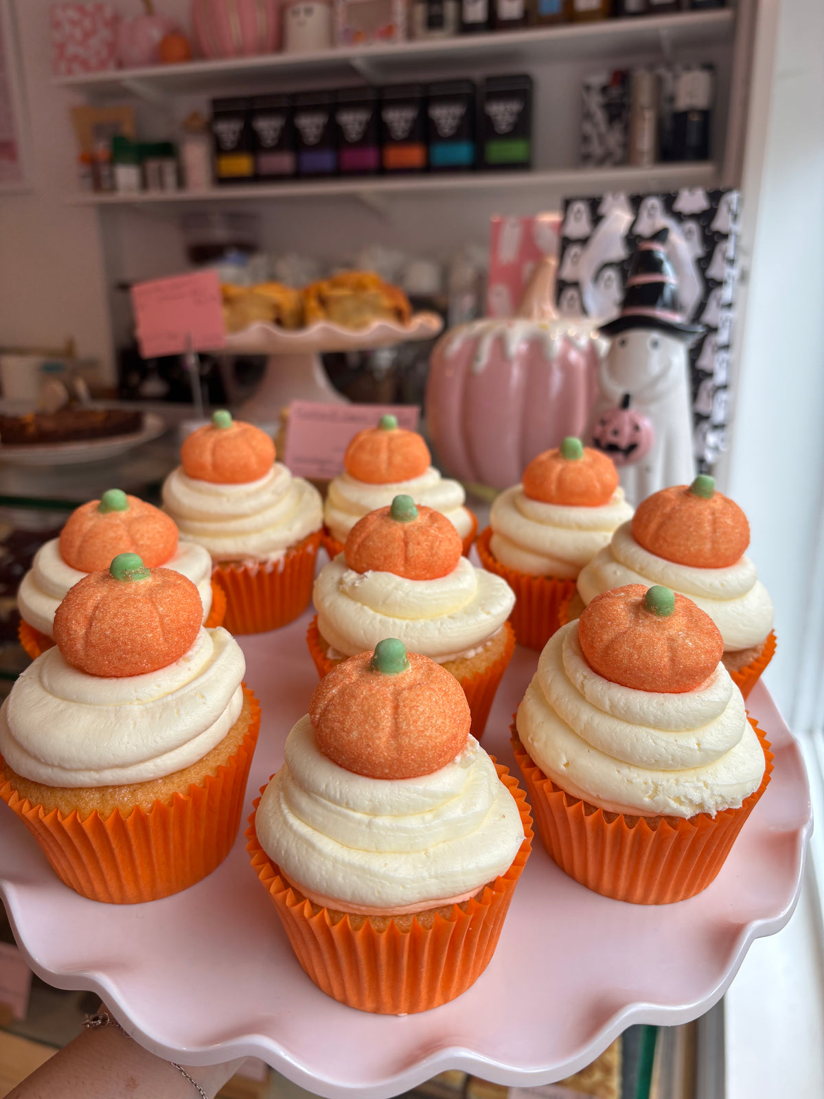 Halloween Cupcake Decorating Kit